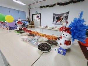 “多國風(fēng)采、別具風(fēng)格”的的圣誕節(jié)活動(dòng)